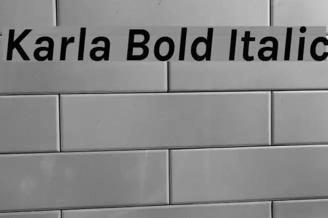 Karla Bold Italic  examples