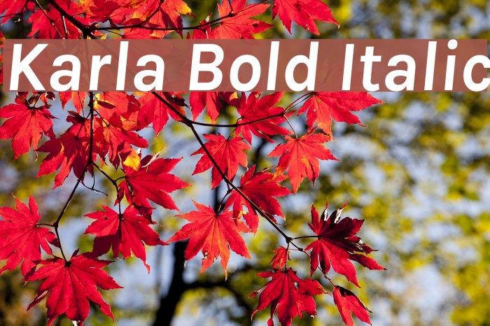 Karla Bold Italic Font examples