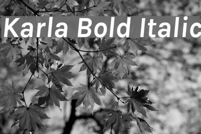 Karla Bold Italic  examples