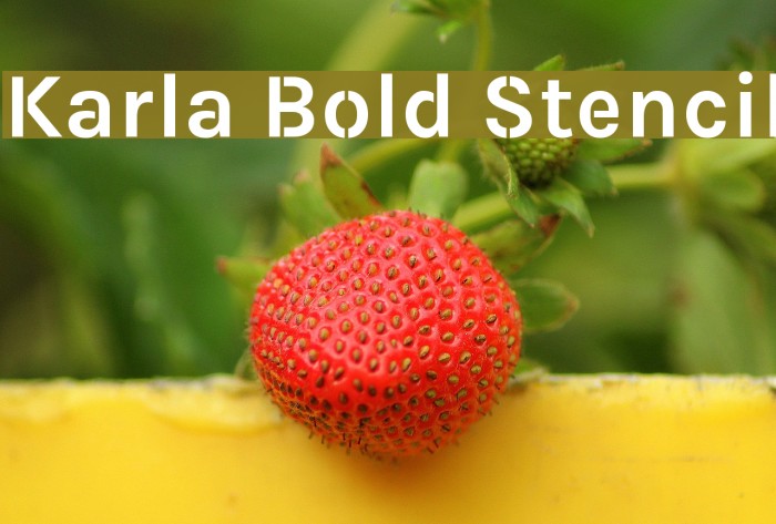 Karla Bold Stencil Example 3