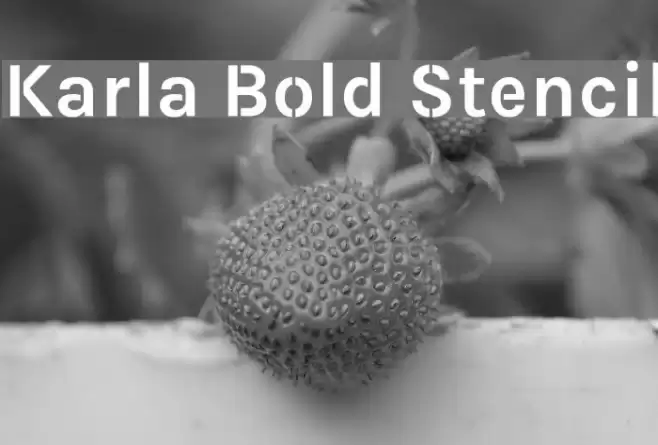 Karla Bold Stencil Font examples