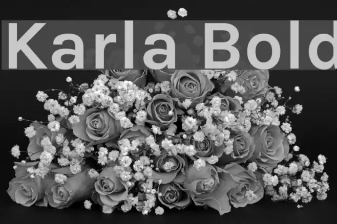 Karla Bold Font examples