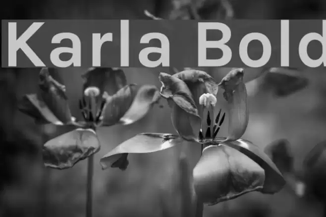 Karla Bold Font examples