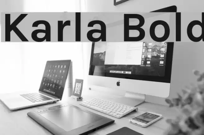 Karla Bold Font examples