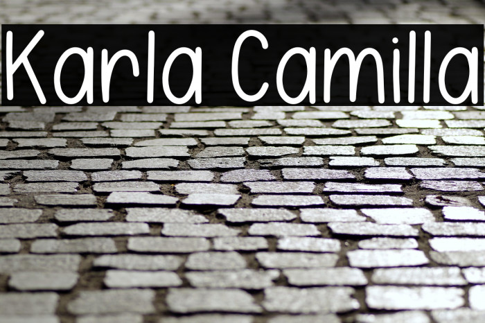 Karla Camilla Example 1