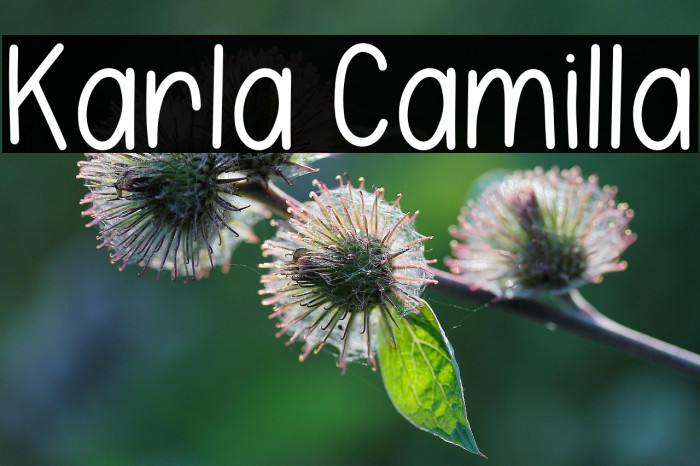Karla Camilla Example 2
