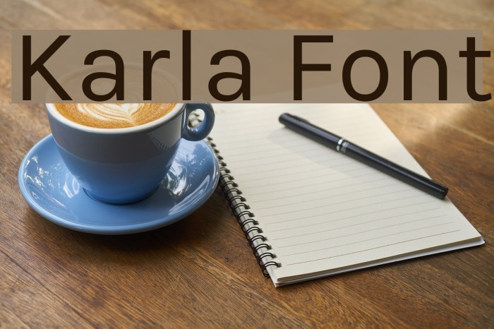 Karla Font examples