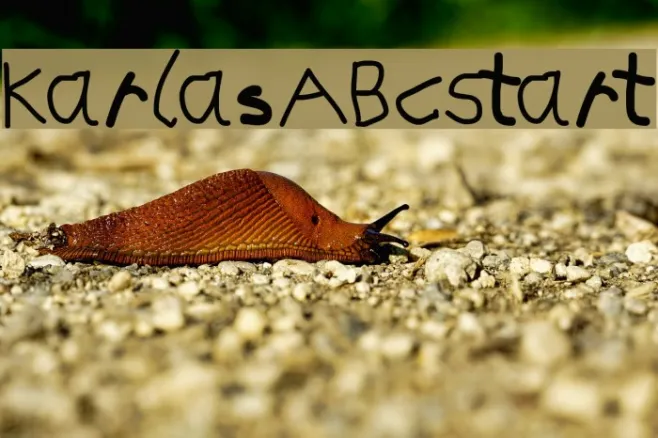 KarlasABCStart Example 1