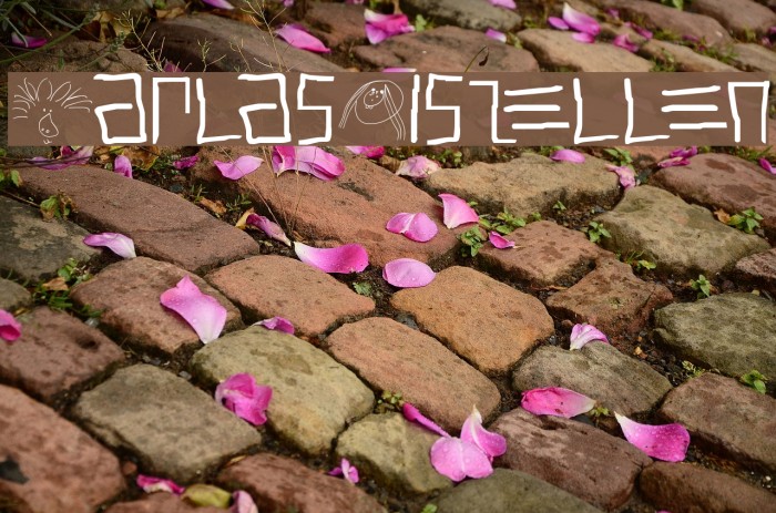 KarlasMiszellen Example 1