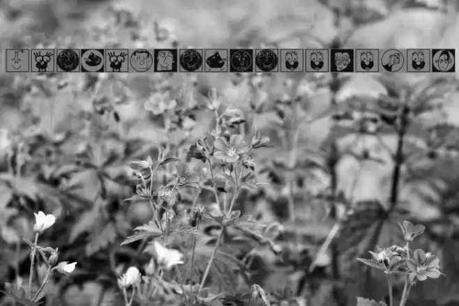 KarlasNrThreeSeven Font examples