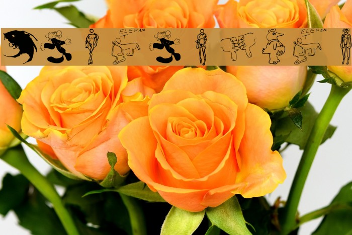 KarlasWelt Font examples