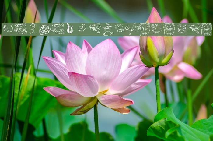 KarlasZeichnungen Example 3