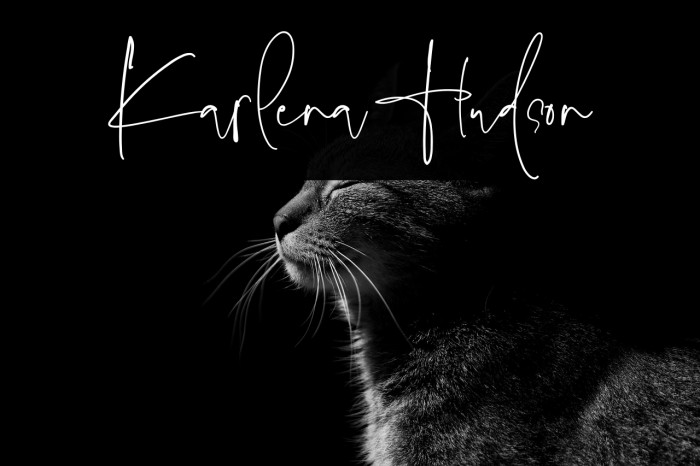 Karlena Hudson Example 1