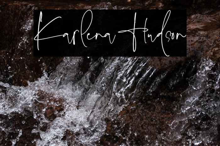 Karlena Hudson Example 2