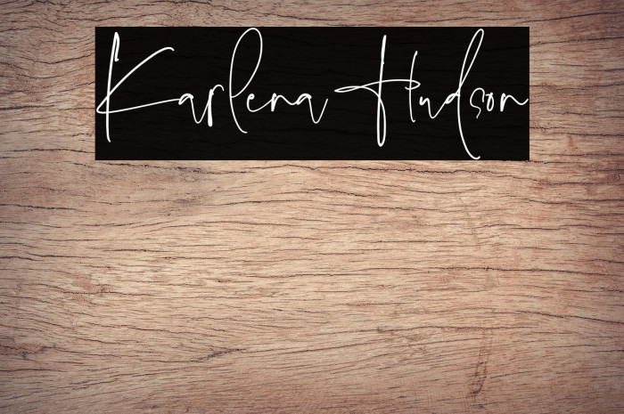 Karlena Hudson Example 3