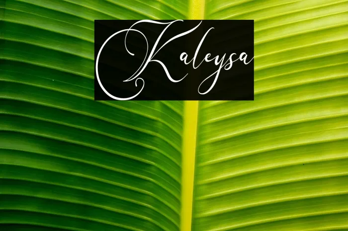 Karleysa Example 1