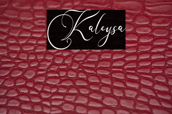 Karleysa Example 3