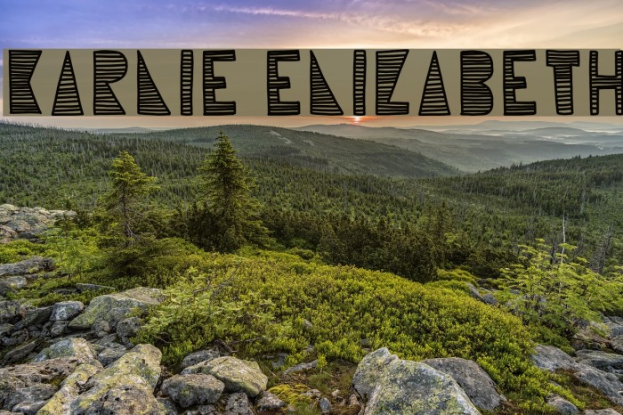 Karlie Elizabeth Example 2