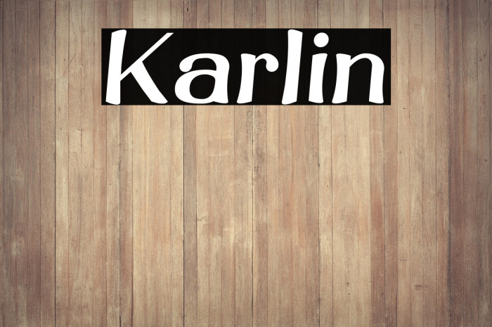 Karlin Example 1