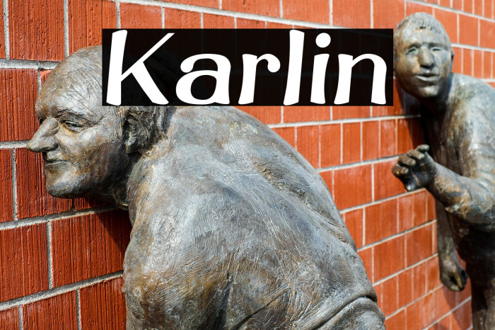 Karlin Example 2