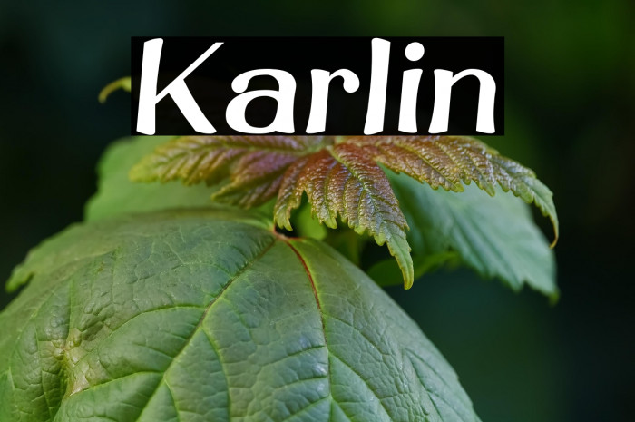 Karlin Example 3