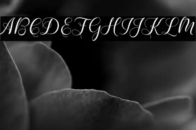 KarliynaScript Font examples