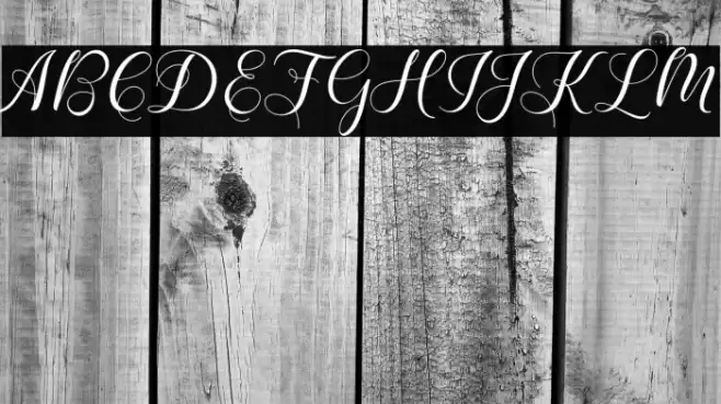 KarliynaScript Font examples