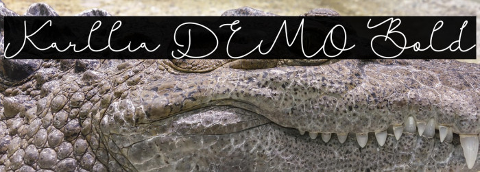 Karllia DEMO Bold Example 1