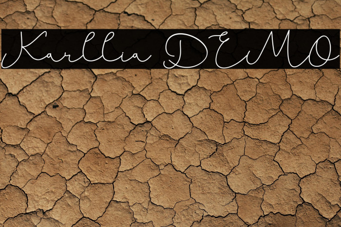 Karllia DEMO Example 3