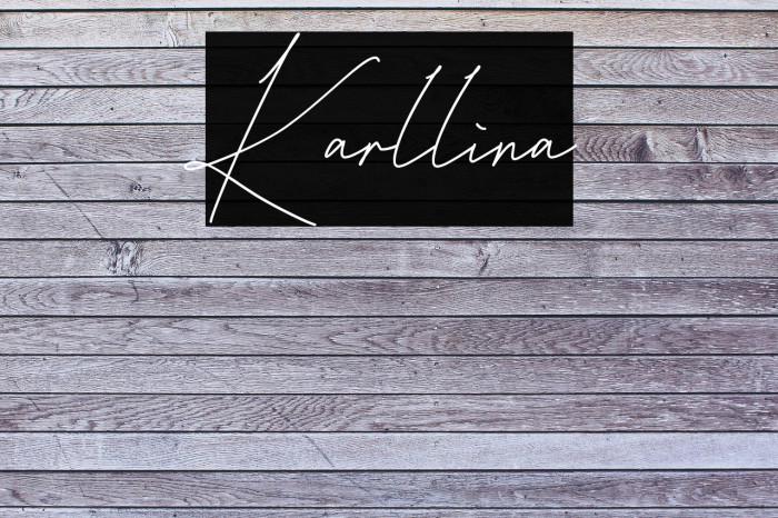 Karllina Example 1