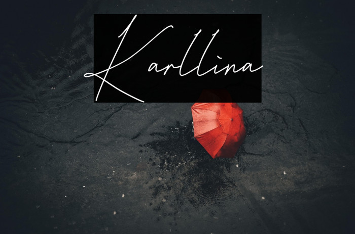 Karllina Example 2