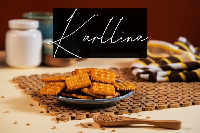 Karllina Example 3
