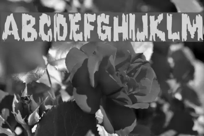 Karloff Regular Font examples