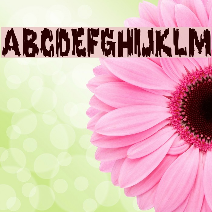 Karloff Regular Font examples