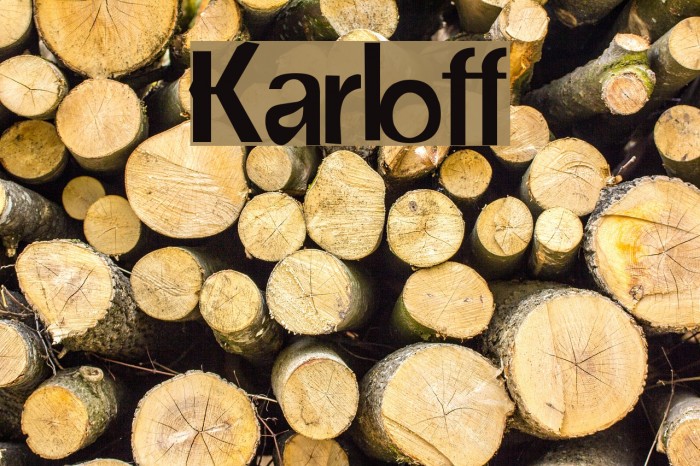 Karloff Font examples