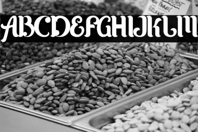 Karltown Font examples