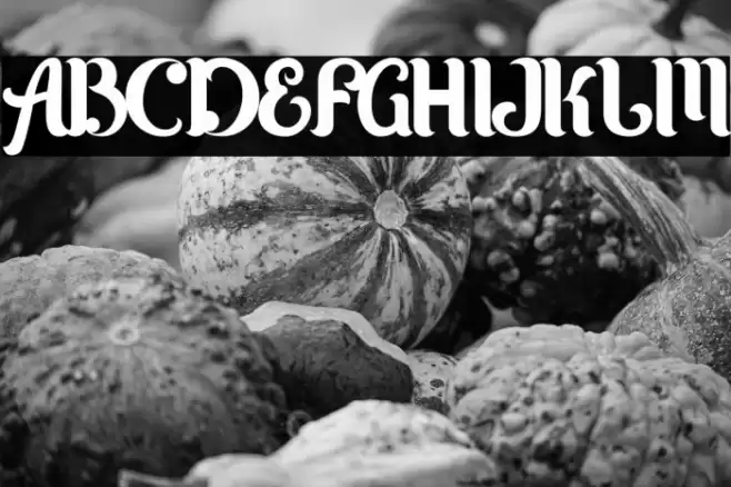 Karltown Font examples