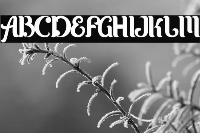 Karltown Font examples