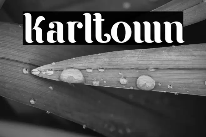 Karltown Font examples