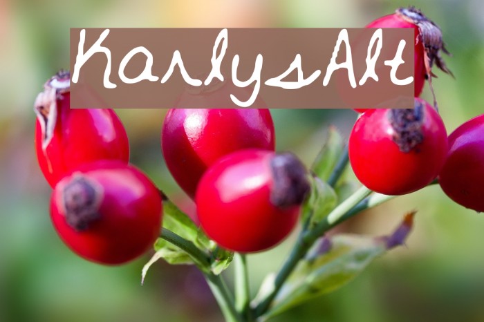 Karly_s_Alt Font examples