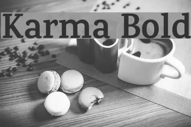 Karma Bold Font examples
