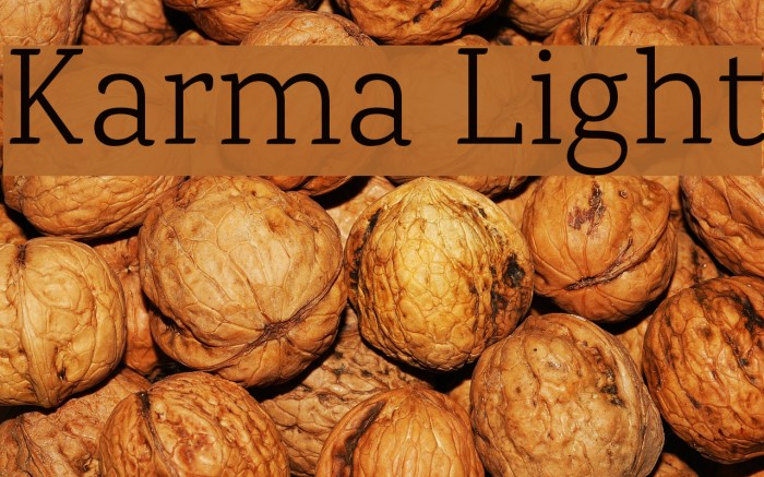 Karma Light Font examples