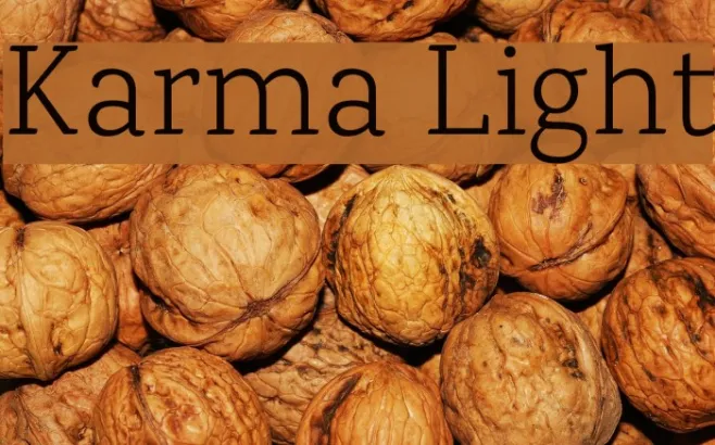 Karma Light Example 2