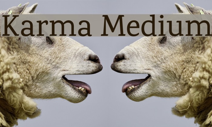 Karma Medium Font examples
