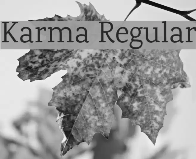 Karma Regular Font examples