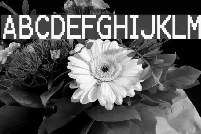 Karma Suture Font examples