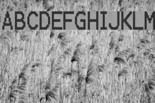 Karma Suture Font examples