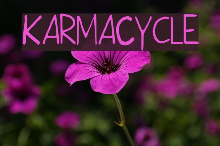 KarmaCycle Font examples