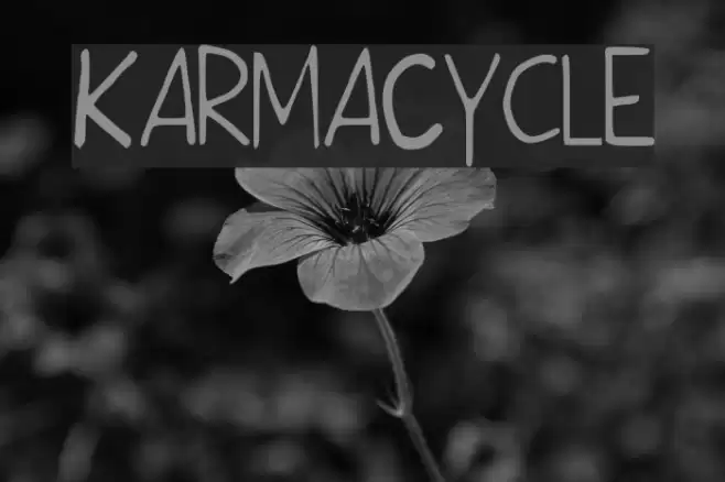 KarmaCycle examples