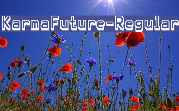 KarmaFuture-Regular Example 2